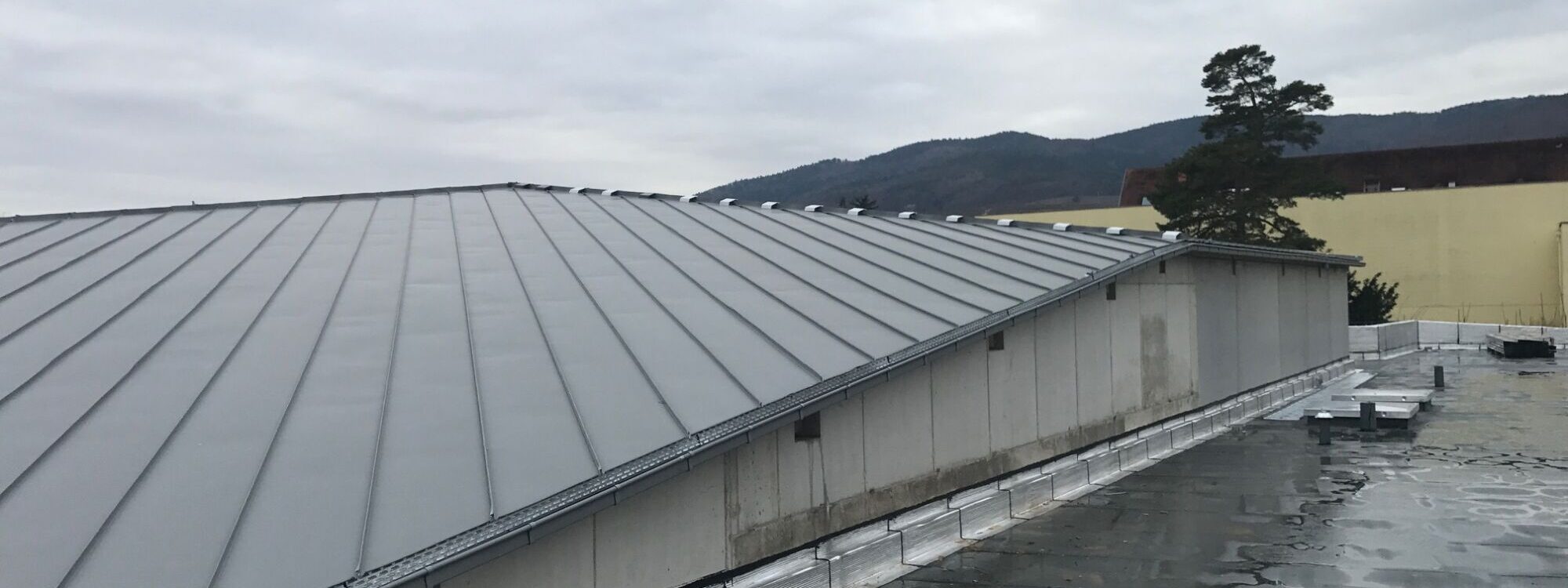 Couverture zinc joint debout – Ribeauvill&eacute; Ostwald