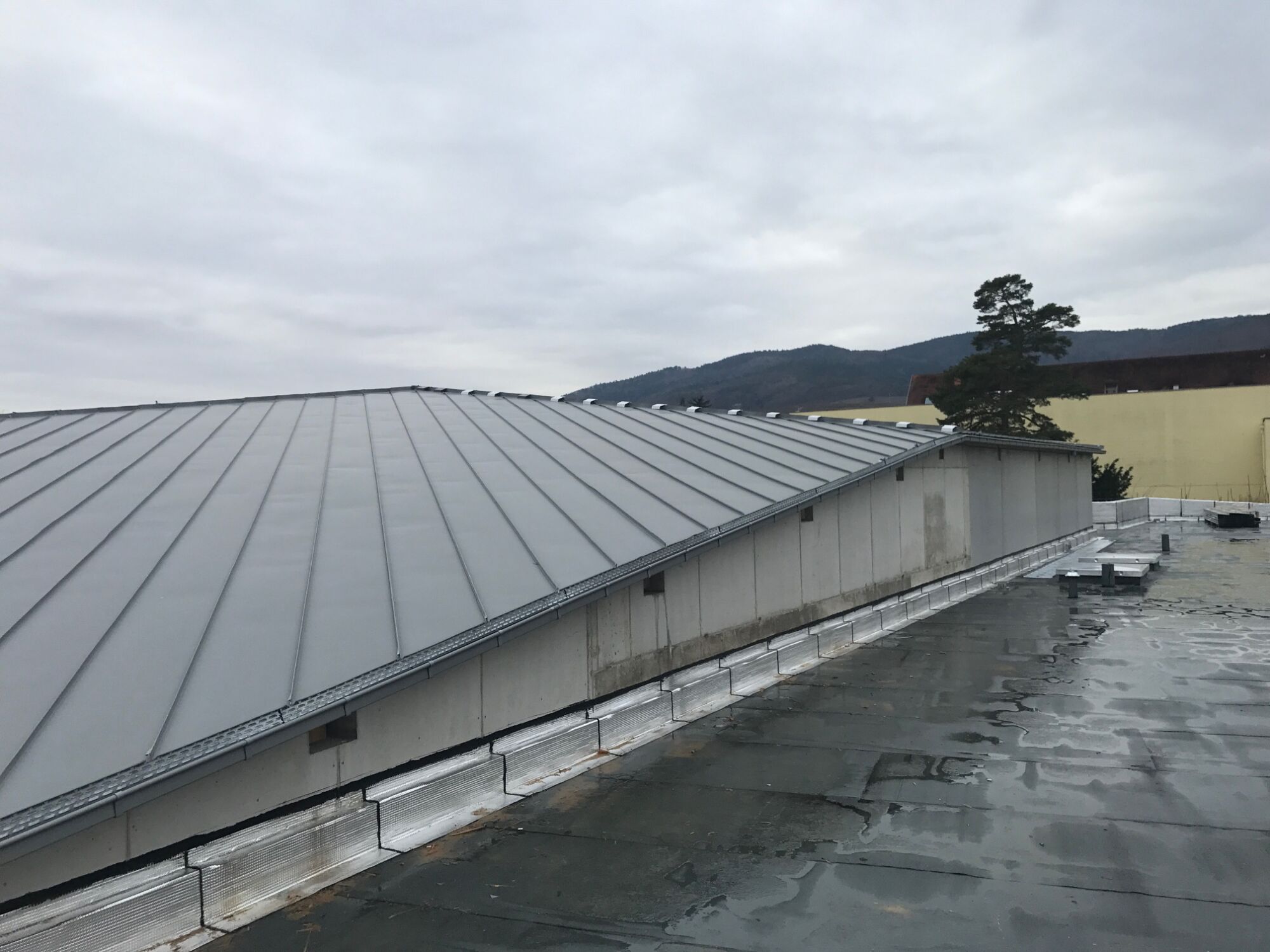 Couverture zinc joint debout – Ribeauvill&eacute; Ostwald